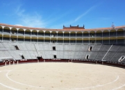 1xBit体育平台-马竞后防连续失球，主帅拟调整战术布局