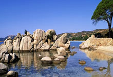 1xBit体育下载-西悉尼流浪者锋线组合默契，世俱杯争冠实力凸显的简单介绍